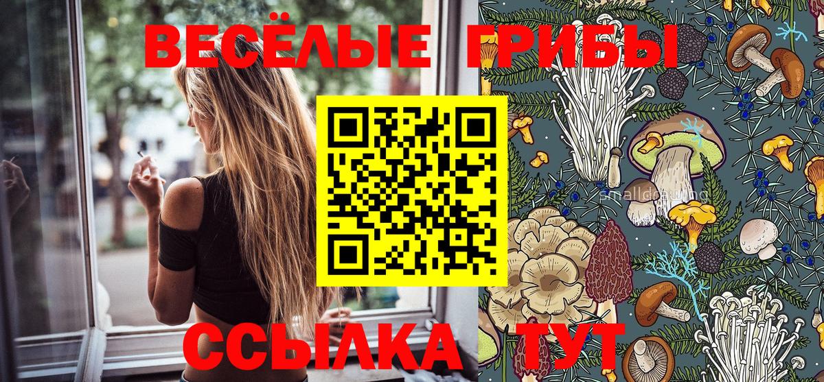 Галлюциногенные грибы мицелий  наркотики  Великий Устюг  Вход с VPN 